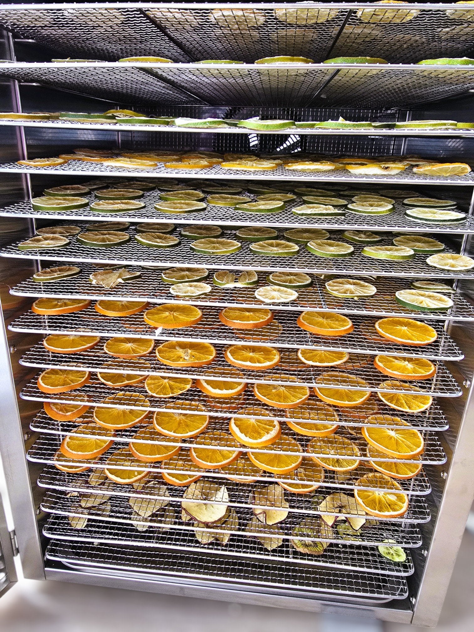 The Garnish Club Premium Dehydrated Lime Cocktail Garnish Slices