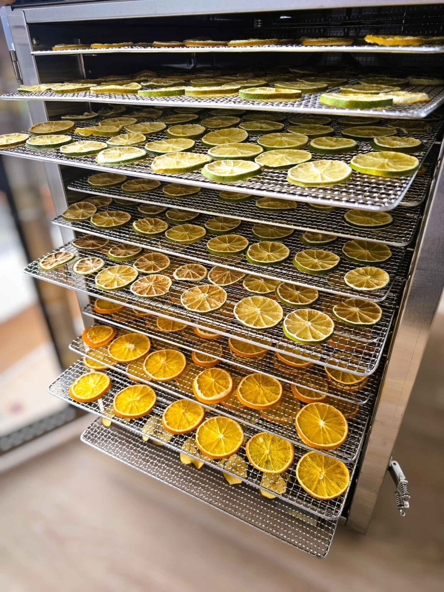 The Garnish Club Premium Dehydrated Lemon Cocktail Garnish Slices