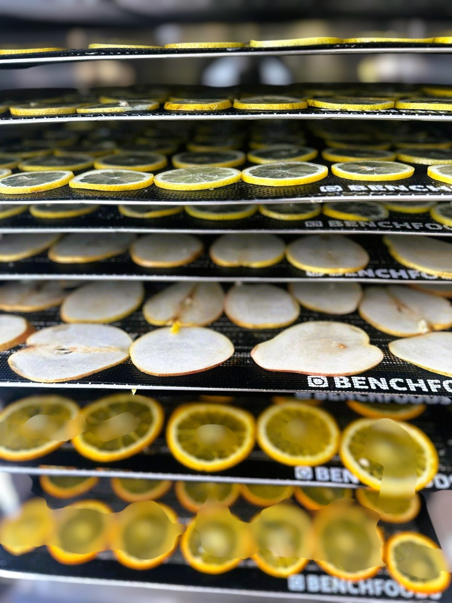 The Garnish Club Premium Dehydrated Lemon Cocktail Garnish Slices