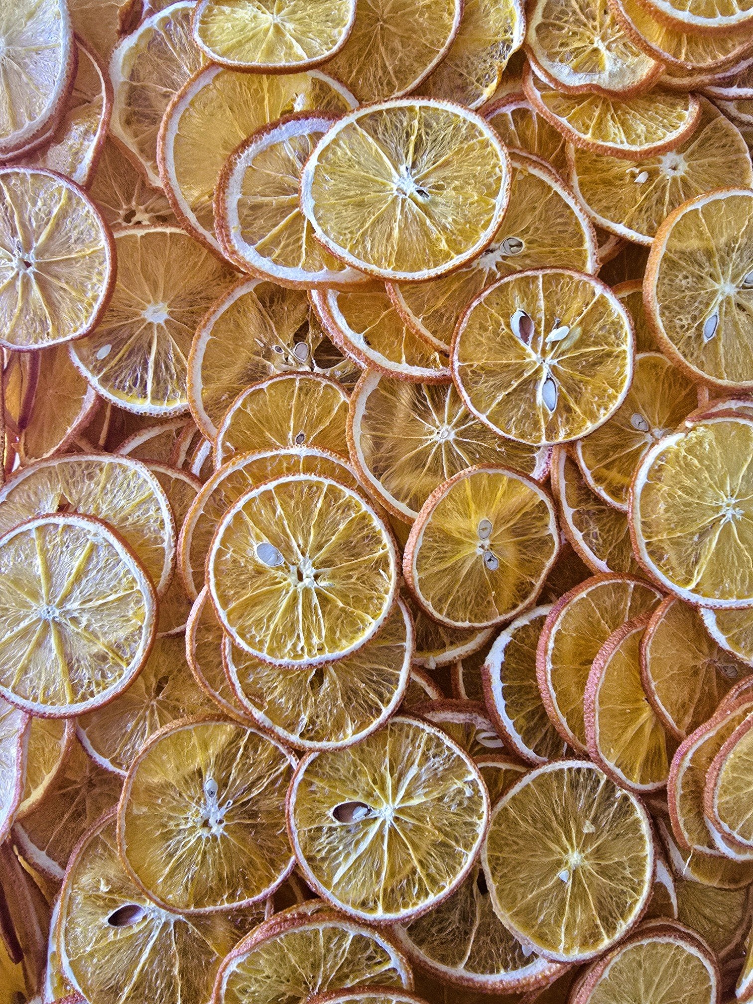 The Garnish Club Premium Dehydrated Orange Cocktail Garnish Slices