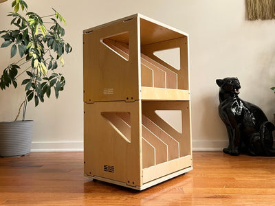 Caja de Almacenamiento de Discos de Vinilo