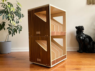 Caja de Almacenamiento de Discos de Vinilo