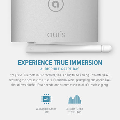 Receptor de música Bluetooth HiFi HD bluMe